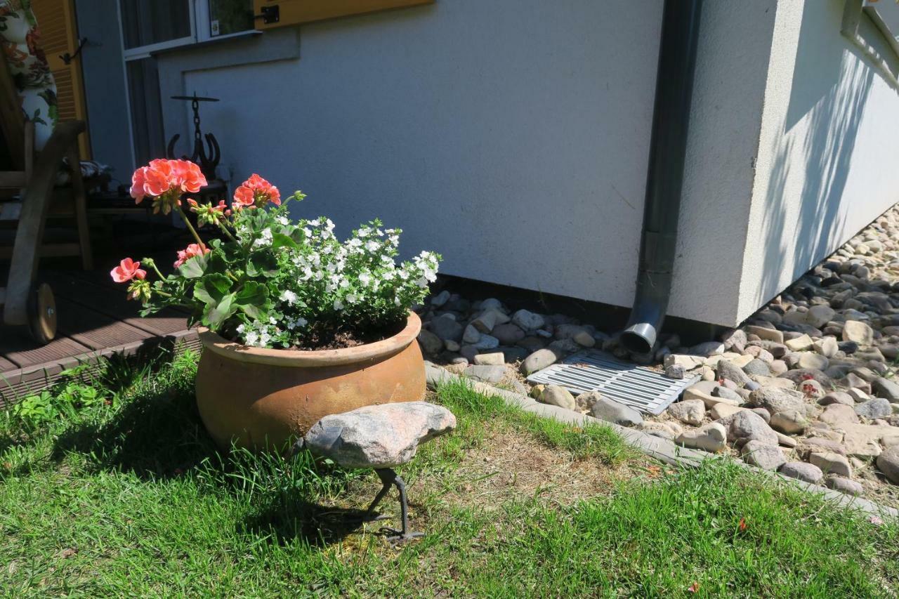 Apartmenti Zvejniekciema 拉脱维亚 外观 照片